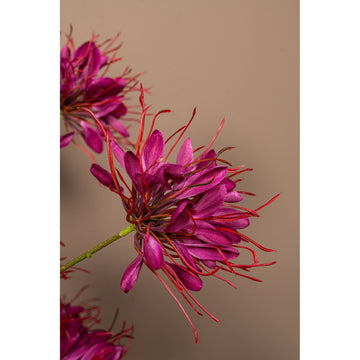 Gartenblume - Burgunderrote Spinnenblume Spray, Polyesterstoff, Halbhändig gefertigt | PTMD
