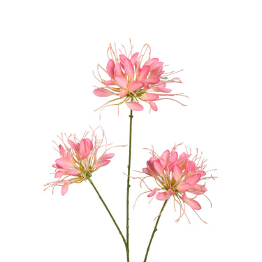 Gartenblume - Rosa Spinnenblume Spray, Polyesterstoff, Halbhändig gefertigt | PTMD