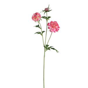 Garden flower - Pink Scabiosa Spray with Bud, Polyester Fabric, Semi-Handmade | PTMD