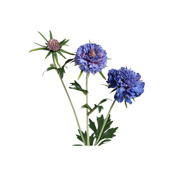 Gartenblume - Blaue Scabiosa Spray mit Knospe, Polyesterstoff, Halbhändig gefertigt | PTMD