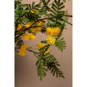Gartenblume – Gelber Mimosenzweig mit Blättern aus Kunststoff, S | PTMD