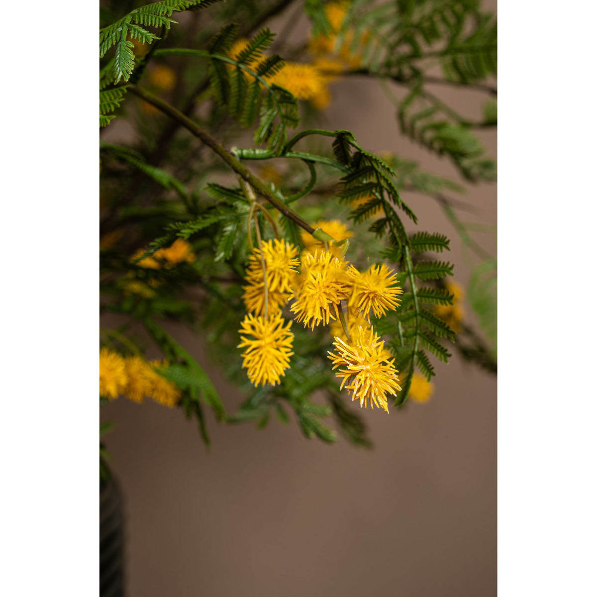 Gartenblume – Gelber Mimosenzweig mit Blättern aus Kunststoff, L | PTMD
