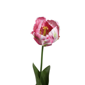 Tulip Flower - Red Parrot Tulip with Leaves, Plastic, Semi-Handmade | PTMD