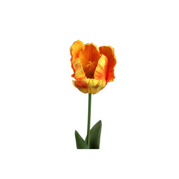 Tulpeblume - Orange Papageien-Tulpe mit Blättern, Kunststoff, Halbhändig gefertigt | PTMD