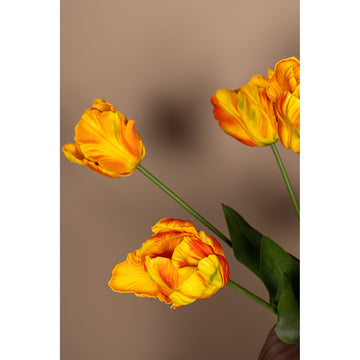 Tulpeblume - Orange Papageien-Tulpe mit Blättern, Kunststoff, Halbhändig gefertigt | PTMD