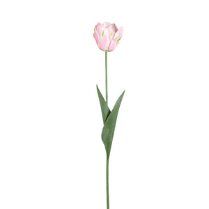 Tulpeblume - Rosa Papageien-Tulpe mit Blättern, Kunststoff, Halbhändig gefertigt | PTMD