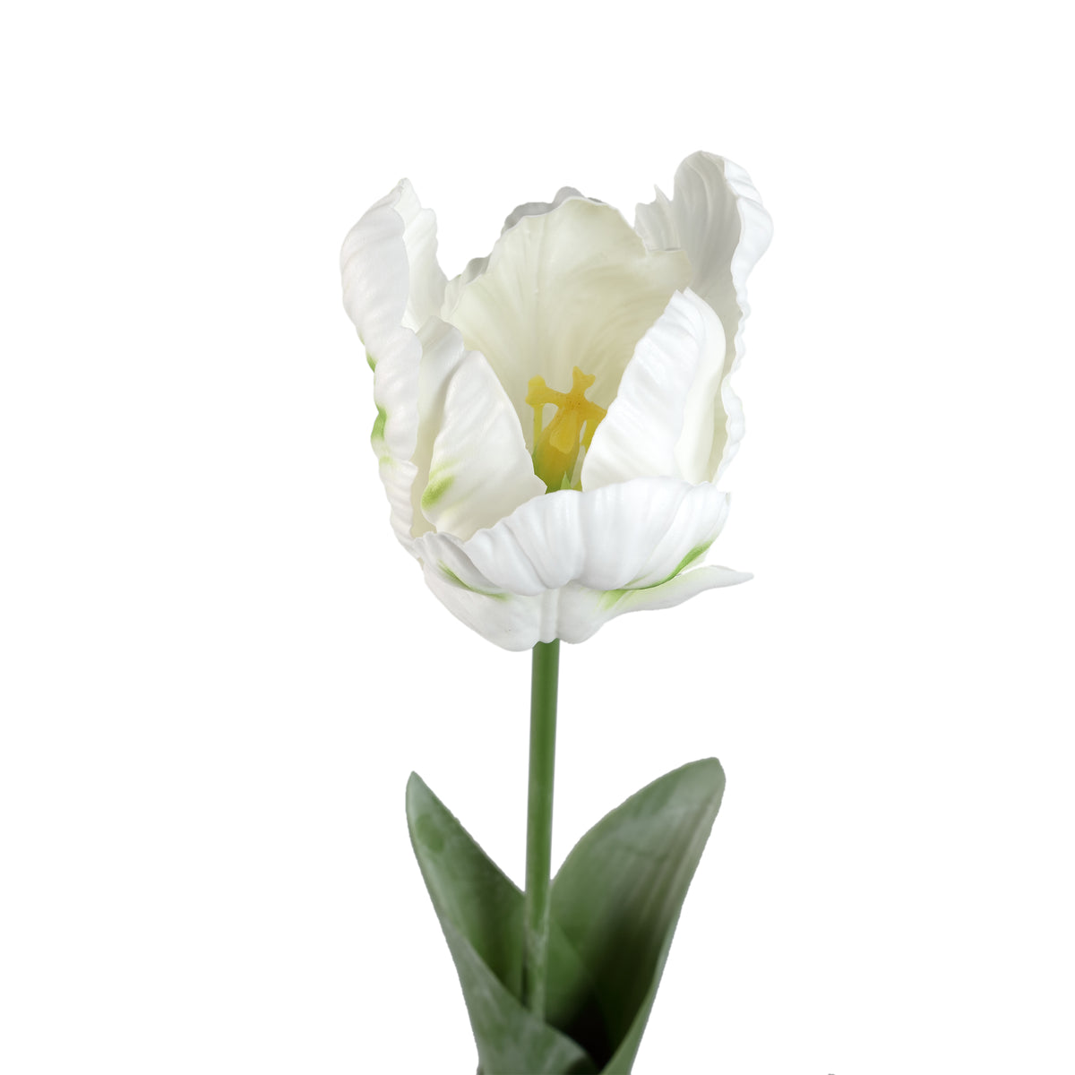 Tulpeblume - Weiße Papageien-Tulpe mit Blättern, Kunststoff, Halbhändig gefertigt | PTMD