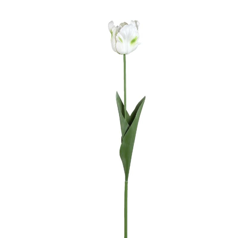 Tulpeblume - Weiße Papageien-Tulpe mit Blättern, Kunststoff, Halbhändig gefertigt | PTMD