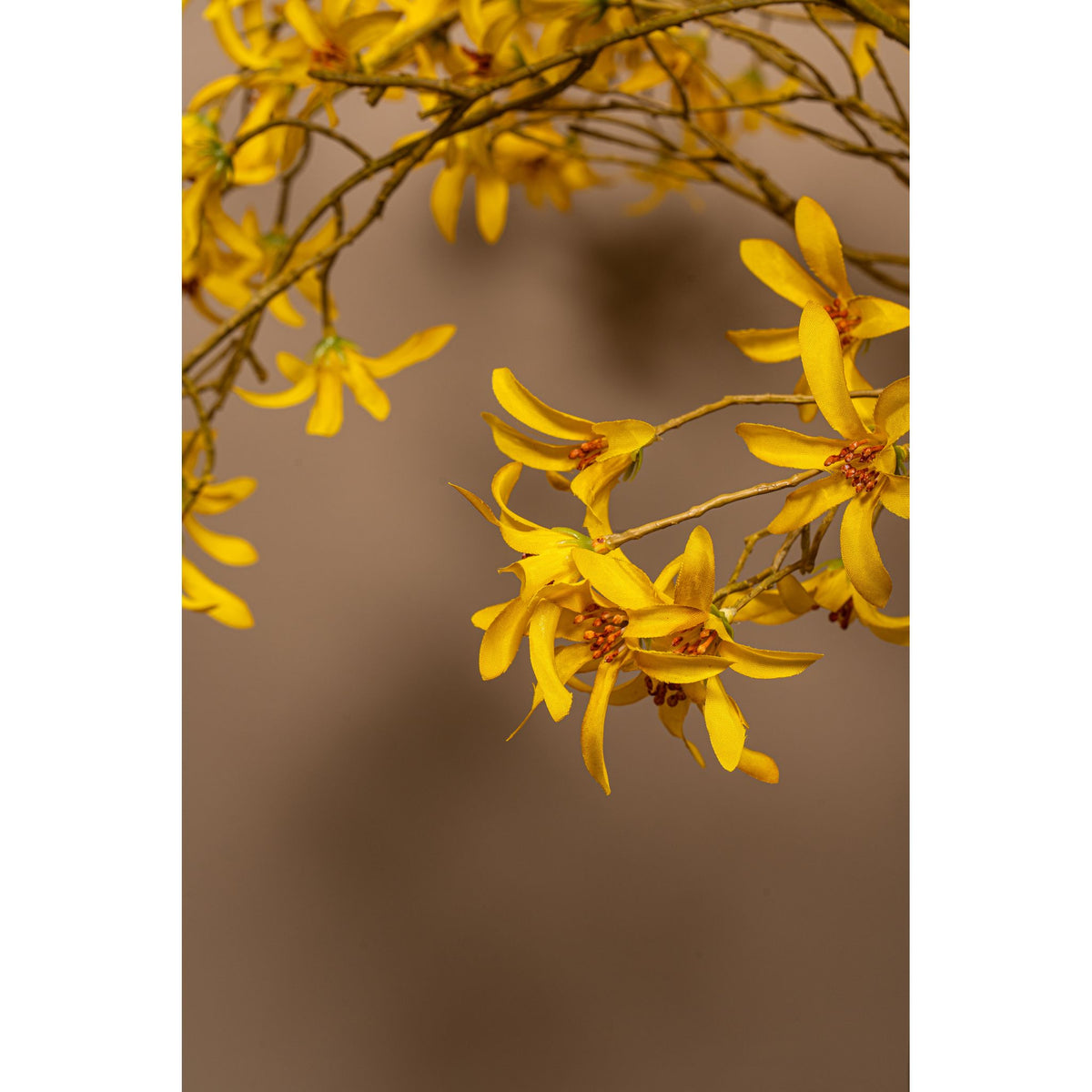 Orchid Flower - Yellow Wild Orchid Spray, Plastic | PTMD