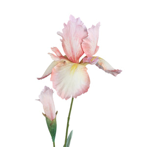 Gartenblume – Rosa Iriszweig mit Knospe aus Kunststoff | PTMD