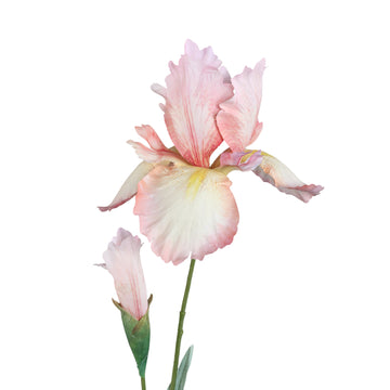 Gartenblume – Rosa Iriszweig mit Knospe aus Kunststoff | PTMD