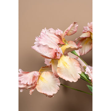 Gartenblume – Rosa Iriszweig mit Knospe aus Kunststoff | PTMD