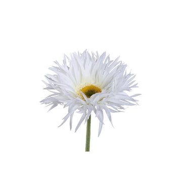 Gartenblume - Weiße Gerbera, Polyesterstoff, Eisenmetall, Kunststoff | PTMD
