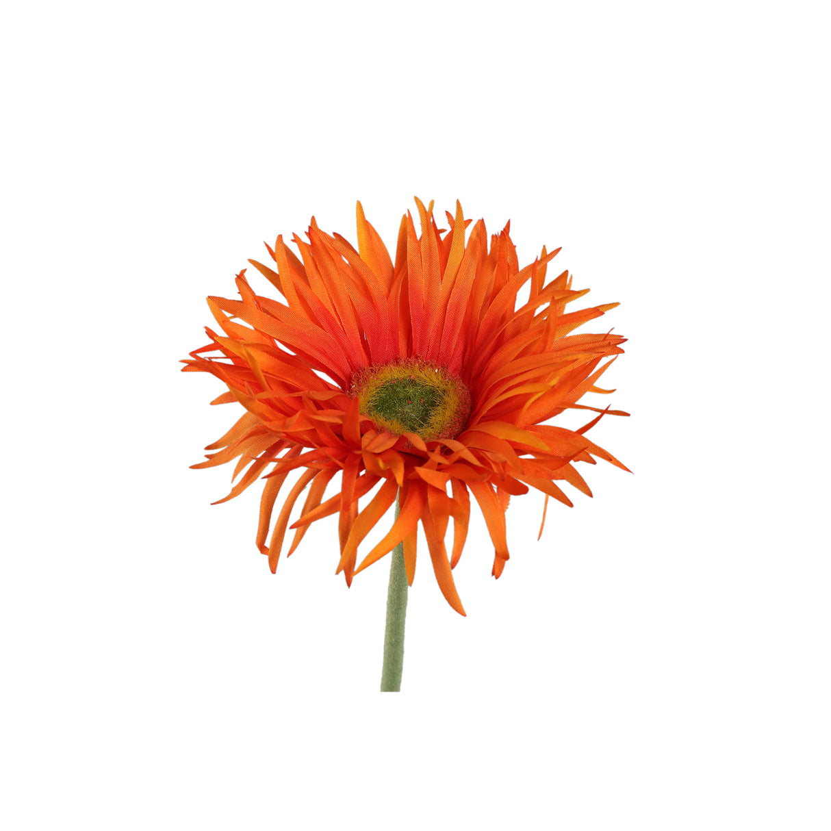 Garden Flower - Orange Gerbera, Polyester Fabric, Iron Metal, Plastic | PTMD
