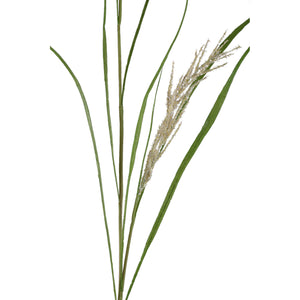 Foliage Plant – Green-Beige Iron Metal & PE Plastic Phalaris Grass Spray | PTMD