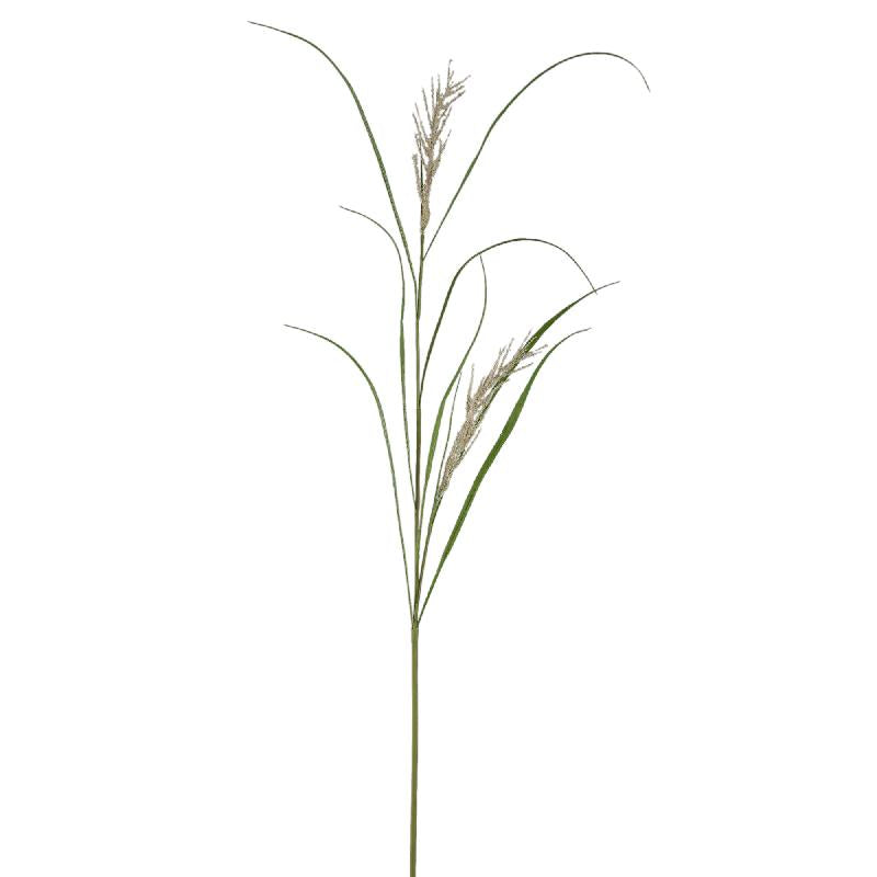 Foliage Plant – Green-Beige Iron Metal & PE Plastic Phalaris Grass Spray | PTMD