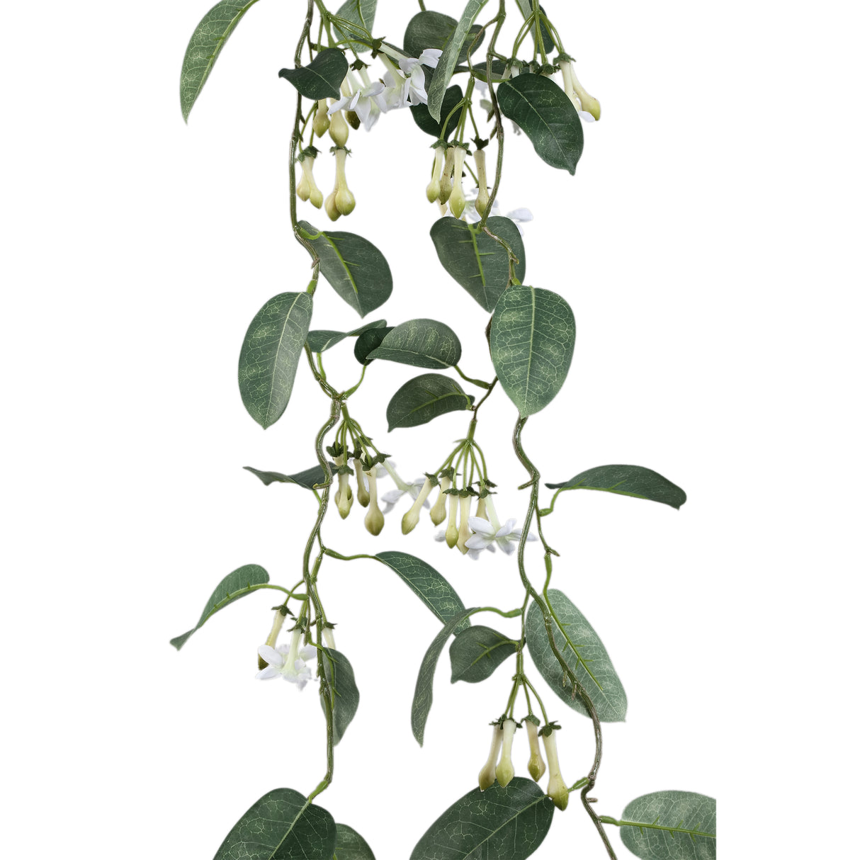 Blätterpflanze – Weiße Hängende Stephanotis aus Polyestergewebe, Eisenmetall & PE-Kunststoff | PTMD