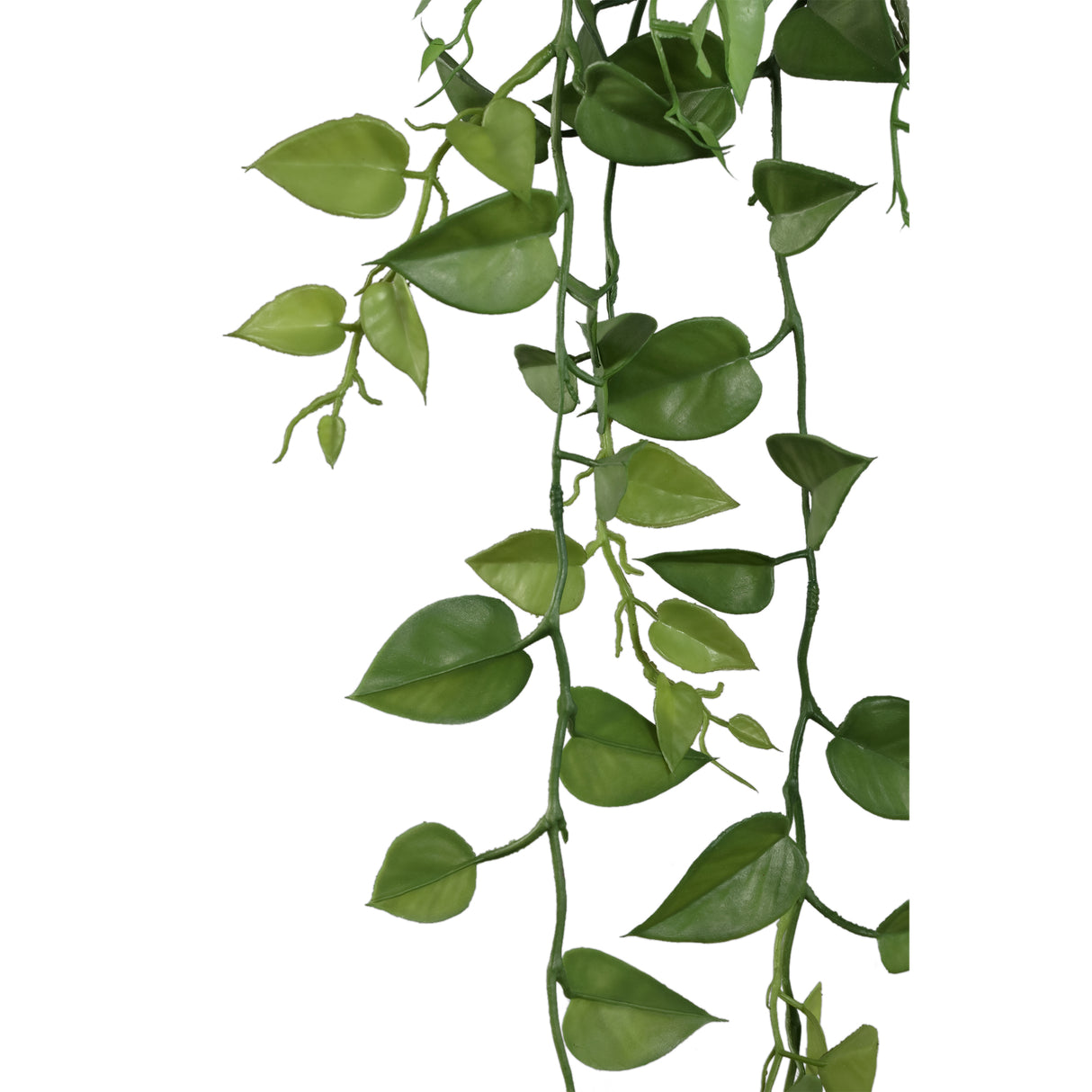 Leaf Plant - Moss Green Hanging Money Plant Made of Iron Metal & PE Plastic | PTMD