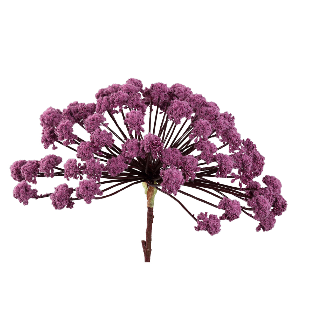 Artificial Branch – Purple Angelica Spray, Iron Metal, PE Plastic, Semi-Handcrafted | PTMD