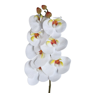 Orchid Flower - White Phalaenopsis Spray with Leaves, Metal, Plastic | PTMD