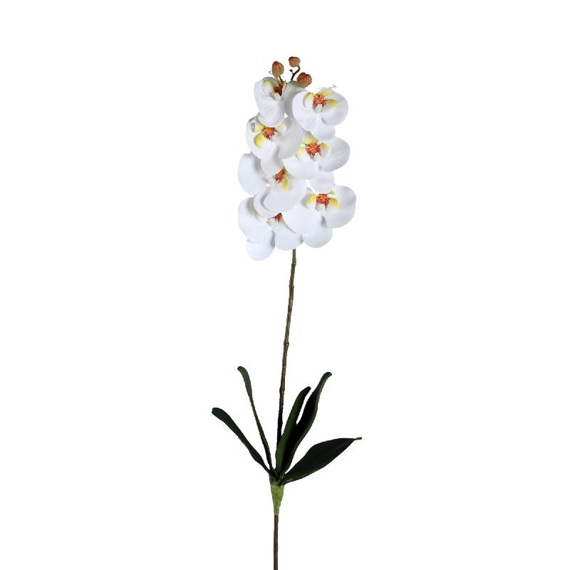 Orchid Flower - White Phalaenopsis Spray with Leaves, Metal, Plastic | PTMD