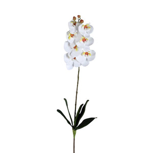 Orchid Flower - White Phalaenopsis Spray with Leaves, Metal, Plastic | PTMD
