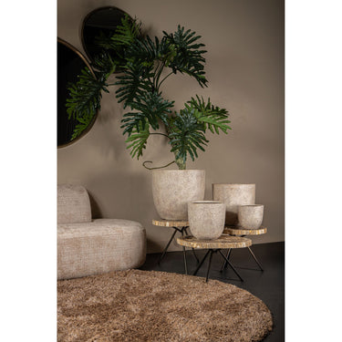 Topf – Antik Design, Raue Oberfläche, GRC Material, Beige, Niedrig – Salah | PTMD