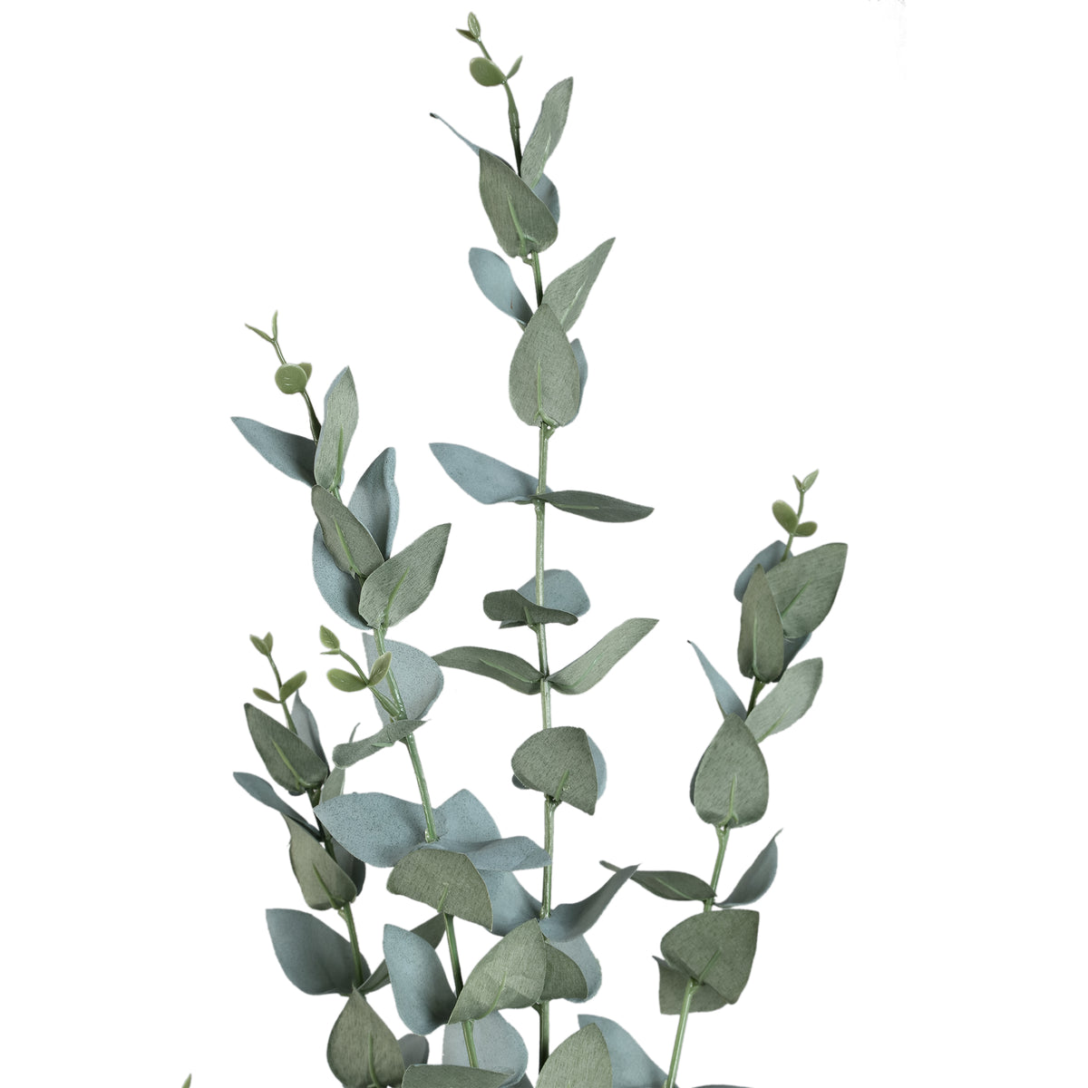 Blätterpflanze – Grüner Eukalyptus-Spray aus Kunststoff | PTMD