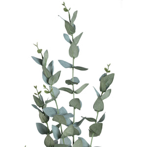 Blätterpflanze – Grüner Eukalyptus-Spray aus Kunststoff | PTMD