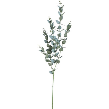 Blätterpflanze – Grüner Eukalyptus-Spray aus Kunststoff | PTMD