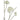 Artificial Branch – White Angelica Flower Spray, Polyester Fabric, Semi-Handmade | PTMD
