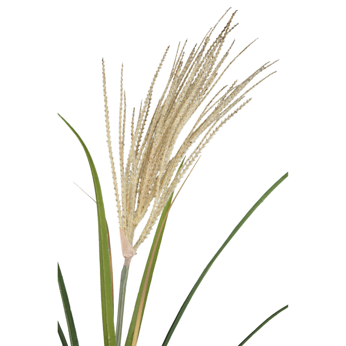 Gras Plant – Natural Hanging Plastic Pampas Grass Spray, S | PTMD