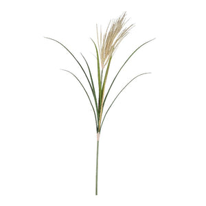 Gras Plant – Natural Hanging Plastic Pampas Grass Spray, S | PTMD
