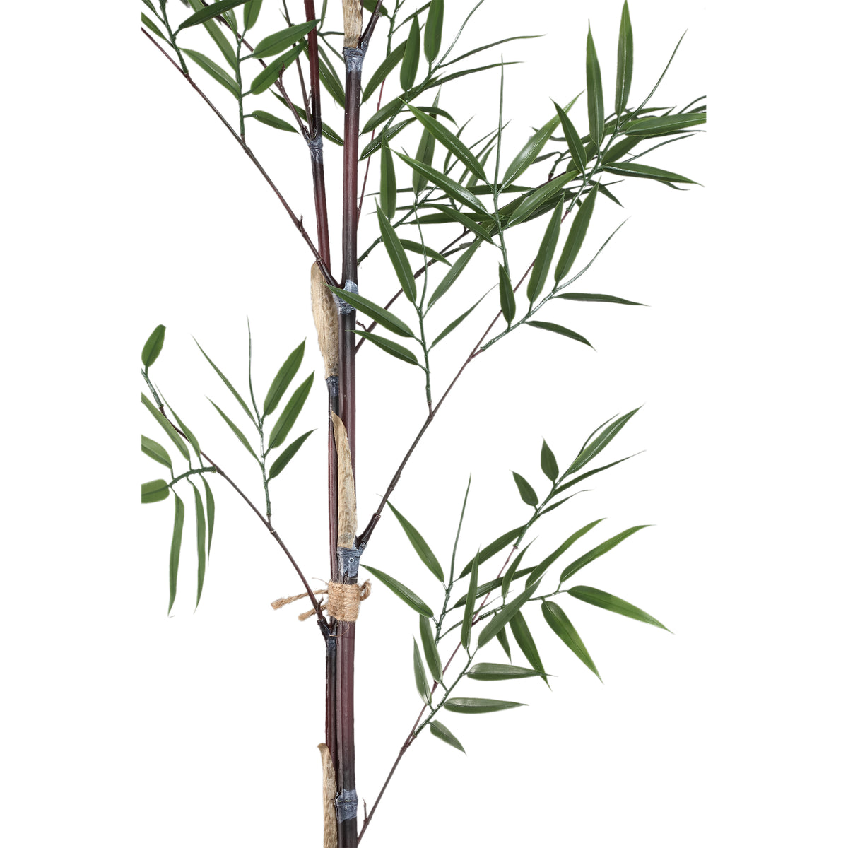 Grasplant - Green Bamboo Plastic Spray Branch | PTMD
