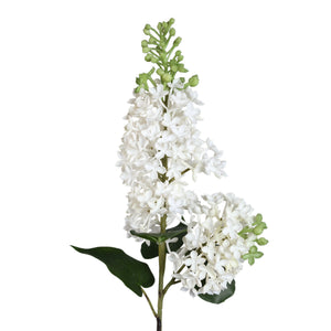 Garden flower - White Lilac Spray, Plastic | PTMD