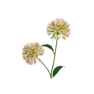 Gartenblume - Rosa Allium Spray, Kunststoff, Coating-Beschichtung | PTMD