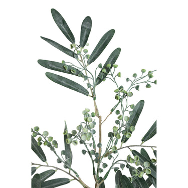 Blätterpflanze – Dunkelgrüner Eukalyptus-Spray mit Samen aus Kunststoff | PTMD