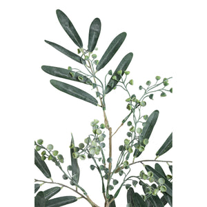 Blätterpflanze – Dunkelgrüner Eukalyptus-Spray mit Samen aus Kunststoff | PTMD