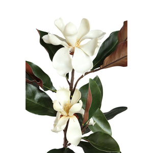 Magnolienblume - Weiße Magnolie Spray mit Blättern, Plastik, Beschichtung, Semi-Handgefertigt | PTMD