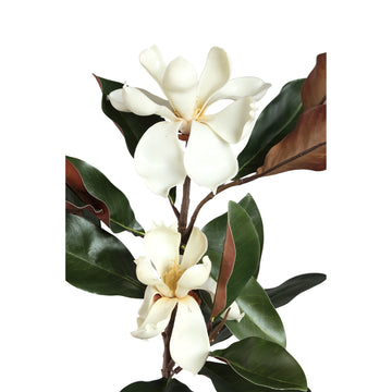 Magnolienblume - Weiße Magnolie Spray mit Blättern, Plastik, Beschichtung, Semi-Handgefertigt | PTMD