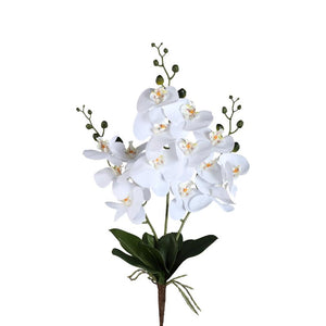 Kunstpflanze - Weiße Phalaenopsis Busch, Kunststoff, Halbhändig gefertigt | PTMD