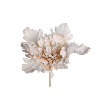 Tulpeblume - Creme Spinnen-Tulpe Stiel, Polyestergewebe, Halbhändig gefertigt | PTMD