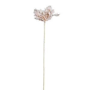 Tulip Flower - Cream Spider Tulip Stem, Polyester Fabric, Semi-Handmade | PTMD