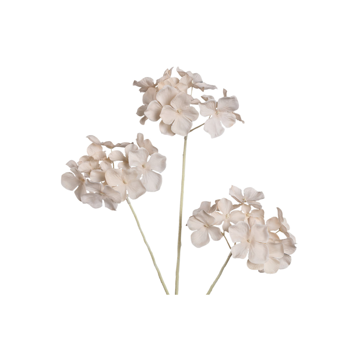 Hydrangea flower - Cream hydrangea spray flower, polyester fabric | PTMD