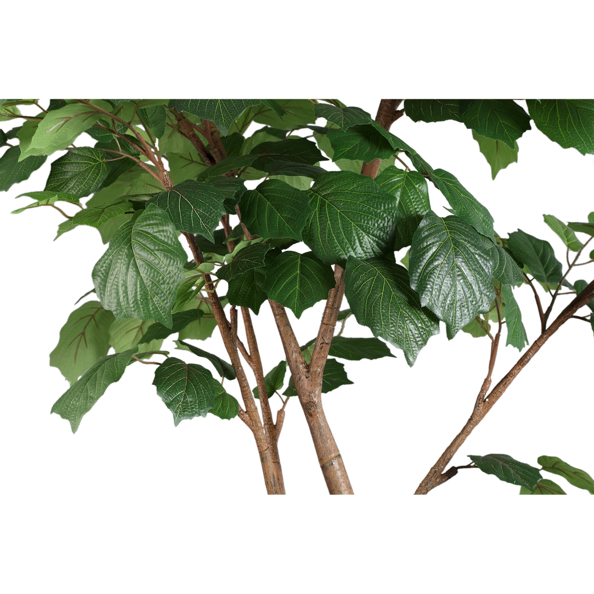 Tree green with vine leaves, potted | PTMD