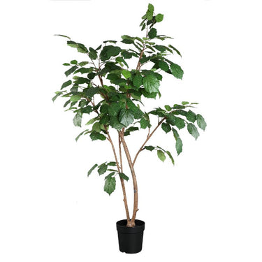 Tree green with vine leaves, potted | PTMD