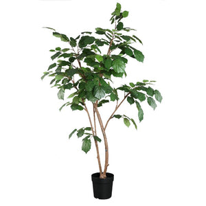 Tree green with vine leaves, potted | PTMD