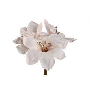 Amaryllis Flower - Cream Amaryllis Stem, Metal, Plastic, Canvas | PTMD
