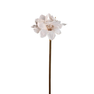 Amaryllis Flower - Cream Amaryllis Stem, Metal, Plastic, Canvas | PTMD