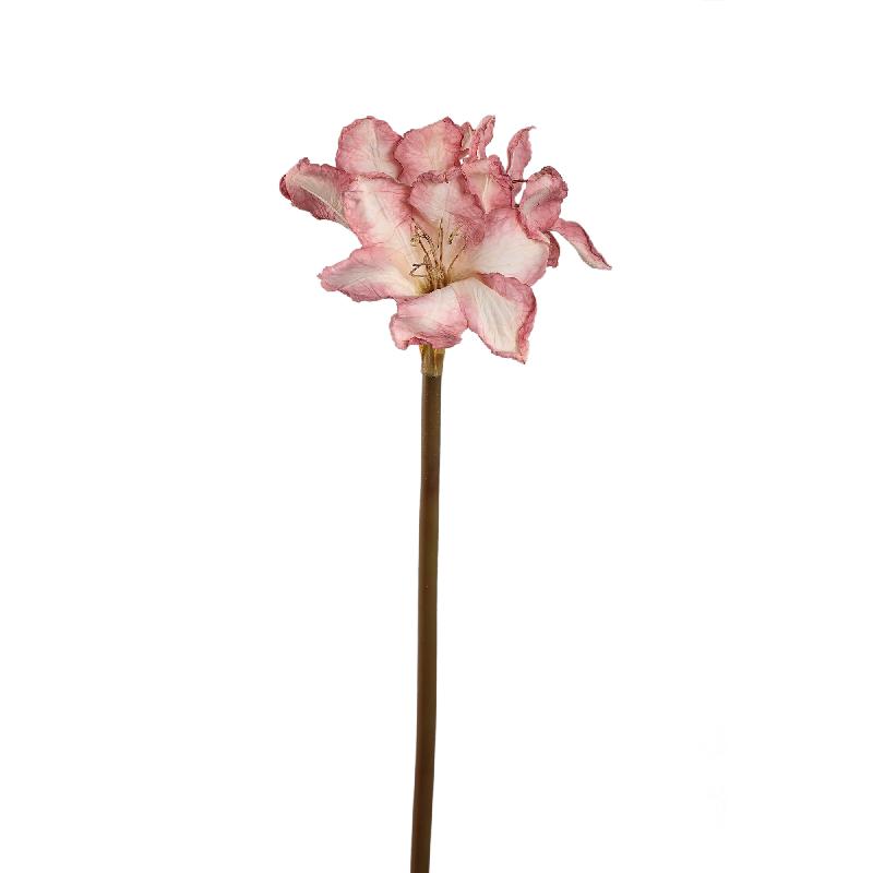Amaryllis Flower - Light Pink Amaryllis Stem, Metal, Plastic, Canvas | PTMD